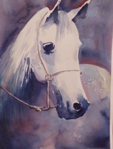 IMG_20161023_194109_758