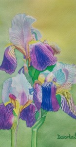 IMG-e764e2ee3d32033cc49340c43e411eab-V